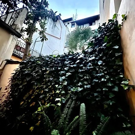 Apartamento Il Segreto Di Via Laura - House In